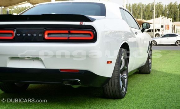 Buy Import Dodge Challenger White Car in Import - Dubai in Enga Buy Import Dodge Challenger White Car in Import - Dubai in Enga
