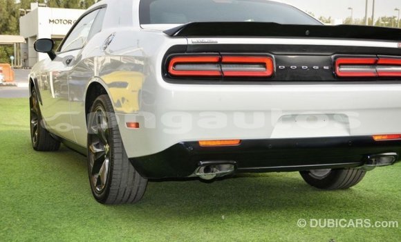 Buy Import Dodge Challenger White Car in Import - Dubai in Enga Buy Import Dodge Challenger White Car in Import - Dubai in Enga