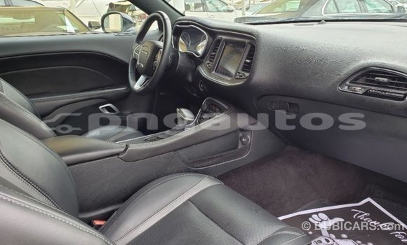 Buy Import Dodge Challenger White Car in Import - Dubai in Enga Buy Import Dodge Challenger White Car in Import - Dubai in Enga