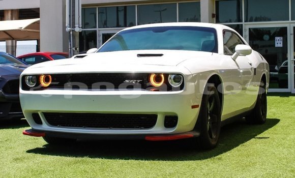 Buy Import Dodge Challenger White Car in Import - Dubai in Enga