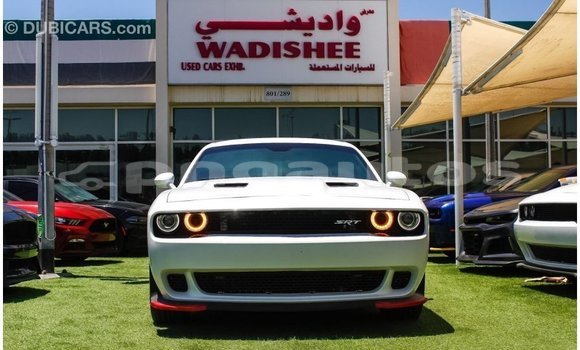 Buy Import Dodge Challenger White Car in Import - Dubai in Enga Buy Import Dodge Challenger White Car in Import - Dubai in Enga