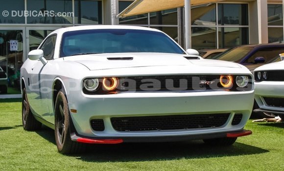Buy Import Dodge Challenger White Car in Import - Dubai in Enga Buy Import Dodge Challenger White Car in Import - Dubai in Enga