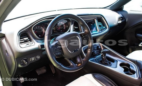 Buy Import Dodge Challenger White Car in Import - Dubai in Enga Buy Import Dodge Challenger White Car in Import - Dubai in Enga