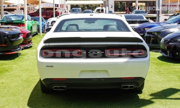 Buy Import Dodge Challenger White Car in Import - Dubai in Enga Buy Import Dodge Challenger White Car in Import - Dubai in Enga