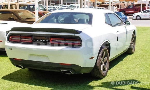 Buy Import Dodge Challenger White Car in Import - Dubai in Enga Buy Import Dodge Challenger White Car in Import - Dubai in Enga