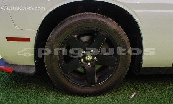 Buy Import Dodge Challenger White Car in Import - Dubai in Enga Buy Import Dodge Challenger White Car in Import - Dubai in Enga