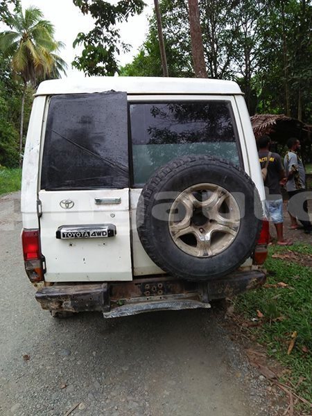 Big with watermark 45262342 1147662968717566 7664793117408624640 n