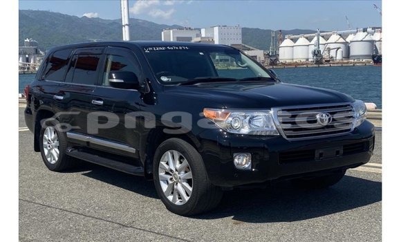 Buy Import Toyota Land Cruiser Black Car in Import - Dubai in Enga