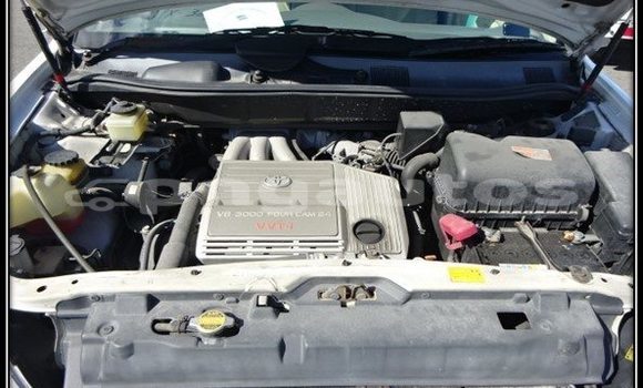 Buy Used Toyota Harrier Other Car in Lorengau in Manus Buy Used Toyota Harrier Other Car in Lorengau in Manus