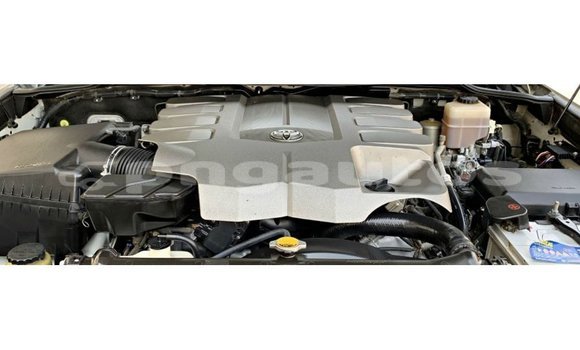 Buy Import Toyota Land Cruiser White Car in Import - Dubai in Enga Buy Import Toyota Land Cruiser White Car in Import - Dubai in Enga