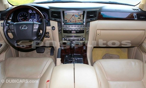 Buy Import Lexus LX White Car in Import - Dubai in Enga Buy Import Lexus LX White Car in Import - Dubai in Enga