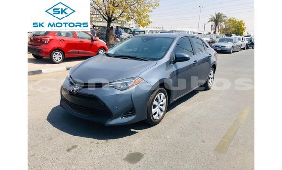 Buy Import Toyota Corolla Other Car in Import - Dubai in Enga Buy Import Toyota Corolla Other Car in Import - Dubai in Enga