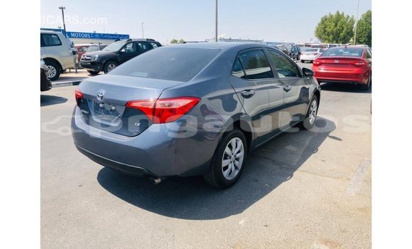 Buy Import Toyota Corolla Other Car in Import - Dubai in Enga Buy Import Toyota Corolla Other Car in Import - Dubai in Enga