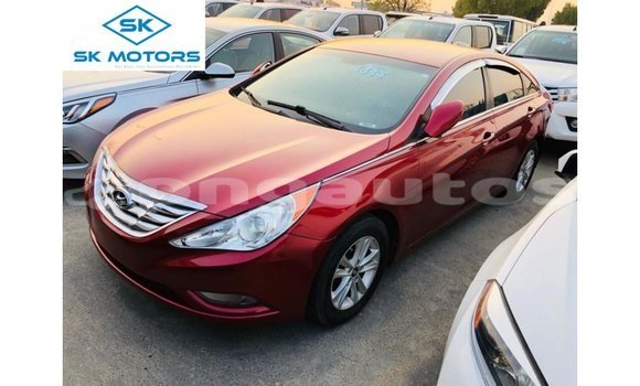 Buy Import Hyundai Sonata Red Car in Import - Dubai in Enga