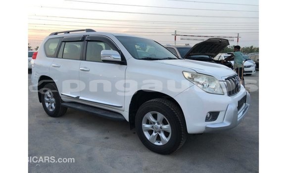 Buy Import Toyota Prado White Car in Import - Dubai in Enga Buy Import Toyota Prado White Car in Import - Dubai in Enga