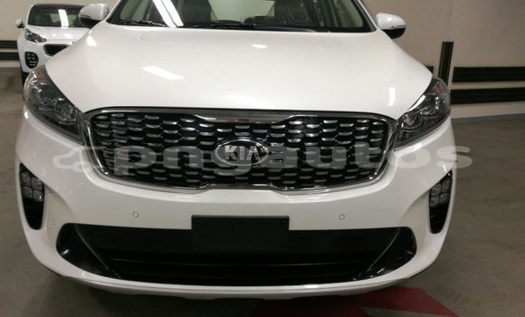Buy Import Kia Sorento White Car in Import - Dubai in Enga