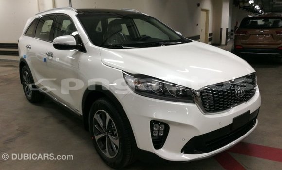 Buy Import Kia Sorento White Car in Import - Dubai in Enga Buy Import Kia Sorento White Car in Import - Dubai in Enga