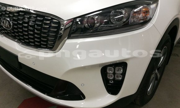 Buy Import Kia Sorento White Car in Import - Dubai in Enga Buy Import Kia Sorento White Car in Import - Dubai in Enga