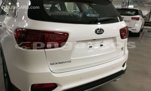 Buy Import Kia Sorento White Car in Import - Dubai in Enga Buy Import Kia Sorento White Car in Import - Dubai in Enga