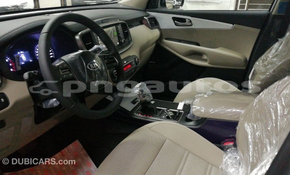 Buy Import Kia Sorento White Car in Import - Dubai in Enga Buy Import Kia Sorento White Car in Import - Dubai in Enga