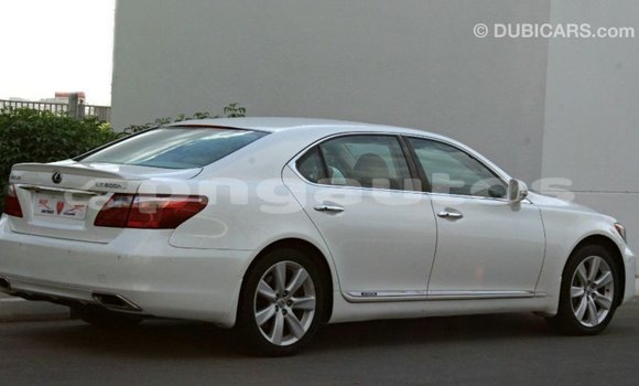 Buy Import Lexus LS White Car in Import - Dubai in Enga Buy Import Lexus LS White Car in Import - Dubai in Enga