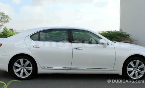 Buy Import Lexus LS White Car in Import - Dubai in Enga Buy Import Lexus LS White Car in Import - Dubai in Enga