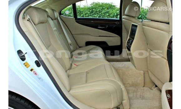 Buy Import Lexus LS White Car in Import - Dubai in Enga Buy Import Lexus LS White Car in Import - Dubai in Enga