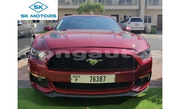 Buy Import Ford Mustang Red Car in Import - Dubai in Enga Buy Import Ford Mustang Red Car in Import - Dubai in Enga