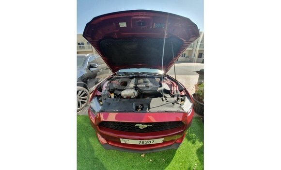 Buy Import Ford Mustang Red Car in Import - Dubai in Enga Buy Import Ford Mustang Red Car in Import - Dubai in Enga