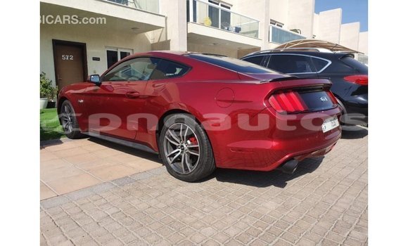 Buy Import Ford Mustang Red Car in Import - Dubai in Enga Buy Import Ford Mustang Red Car in Import - Dubai in Enga