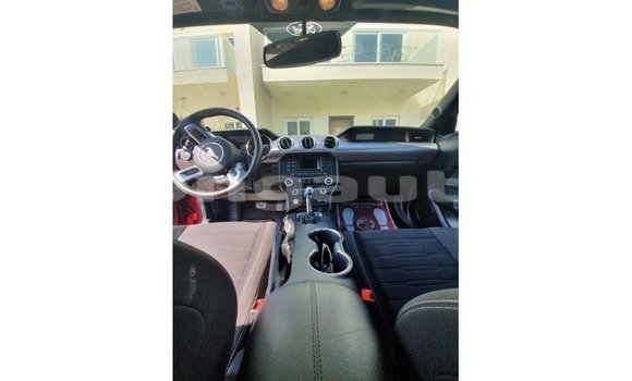 Buy Import Ford Mustang Red Car in Import - Dubai in Enga Buy Import Ford Mustang Red Car in Import - Dubai in Enga