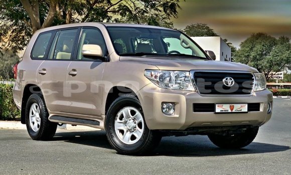 Buy Import Toyota Land Cruiser Other Car in Import - Dubai in Enga