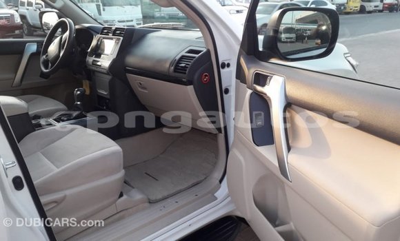 Buy Import Toyota Prado White Car in Import - Dubai in Enga Buy Import Toyota Prado White Car in Import - Dubai in Enga