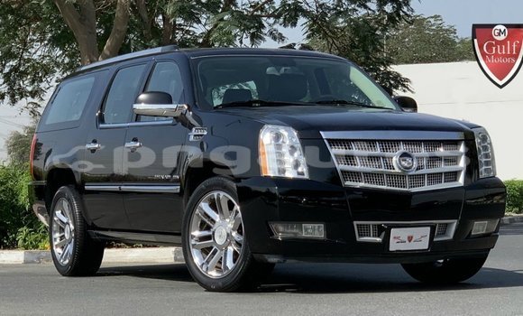 Buy Import Cadillac Escalade Black Car in Import - Dubai in Enga