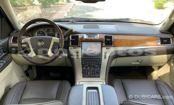 Buy Import Cadillac Escalade Black Car in Import - Dubai in Enga Buy Import Cadillac Escalade Black Car in Import - Dubai in Enga