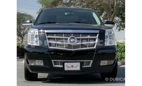 Buy Import Cadillac Escalade Black Car in Import - Dubai in Enga Buy Import Cadillac Escalade Black Car in Import - Dubai in Enga