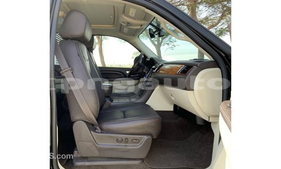 Buy Import Cadillac Escalade Black Car in Import - Dubai in Enga Buy Import Cadillac Escalade Black Car in Import - Dubai in Enga