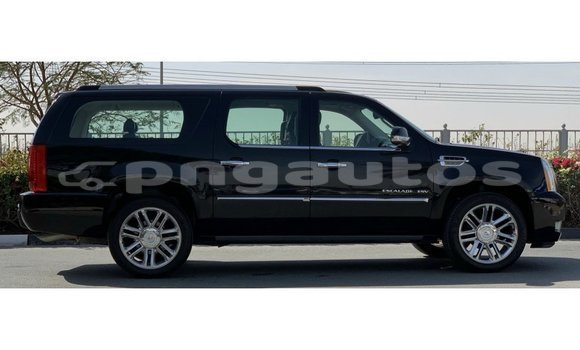 Buy Import Cadillac Escalade Black Car in Import - Dubai in Enga Buy Import Cadillac Escalade Black Car in Import - Dubai in Enga
