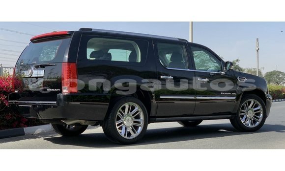 Buy Import Cadillac Escalade Black Car in Import - Dubai in Enga Buy Import Cadillac Escalade Black Car in Import - Dubai in Enga