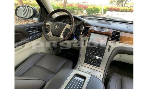 Buy Import Cadillac Escalade Black Car in Import - Dubai in Enga Buy Import Cadillac Escalade Black Car in Import - Dubai in Enga