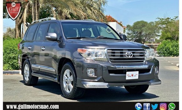 Buy Import Toyota Land Cruiser Other Car in Import - Dubai in Enga