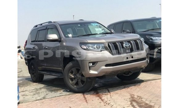 Buy Import Toyota Prado Brown Car in Import - Dubai in Enga