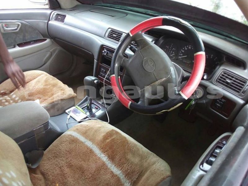 Big with watermark 44948369 1164535327032893 6515691397801050112 o