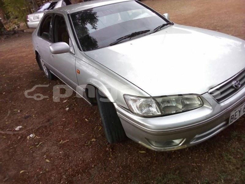 Big with watermark 44872069 1164535220366237 1344224527701245952 o