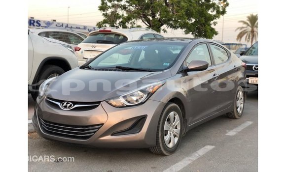 Buy Import Hyundai Elantra Brown Car in Import - Dubai in Enga Buy Import Hyundai Elantra Brown Car in Import - Dubai in Enga
