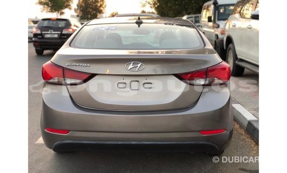 Buy Import Hyundai Elantra Brown Car in Import - Dubai in Enga Buy Import Hyundai Elantra Brown Car in Import - Dubai in Enga