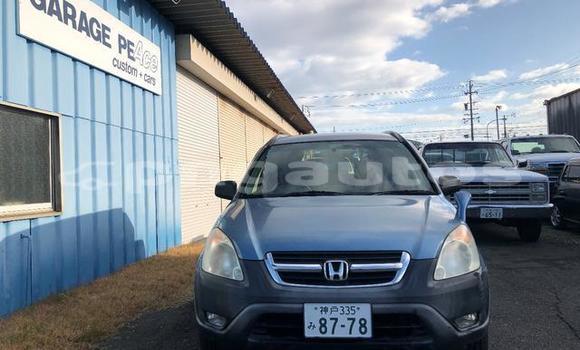 Buy Used Honda CRV Blue Car in Port Moresby in National Capital District Buy Used Honda CRV Blue Car in Port Moresby in National Capital District