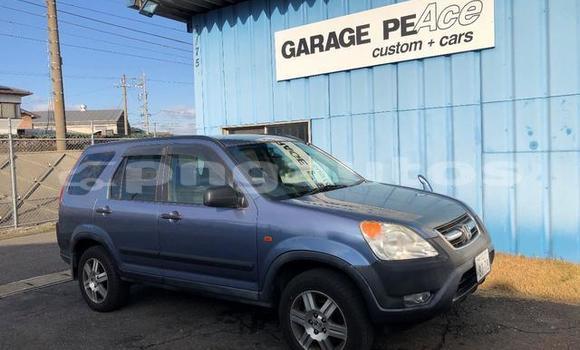 Buy Used Honda CRV Blue Car in Port Moresby in National Capital District Buy Used Honda CRV Blue Car in Port Moresby in National Capital District