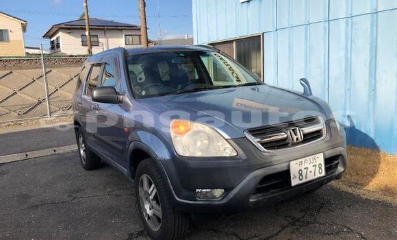 Buy Used Honda CRV Blue Car in Port Moresby in National Capital District Buy Used Honda CRV Blue Car in Port Moresby in National Capital District