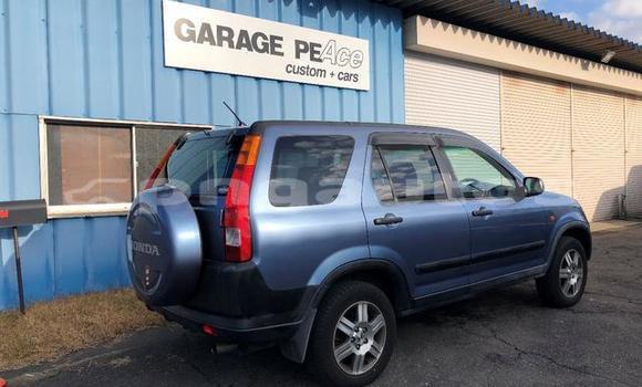 Buy Used Honda CRV Blue Car in Port Moresby in National Capital District Buy Used Honda CRV Blue Car in Port Moresby in National Capital District